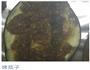 自制烤茄子的做法图解6
