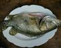 清蒸桂鱼的做法图解1