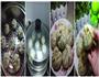 记忆里的白菜粉丝包子的做法图解4