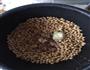 筒子骨黄豆墨鱼汤的做法图解6