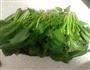 焯菠菜的做法图解1