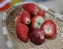 红粉佳人-草莓冰淇淋的做法图解4