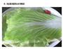 白菜卷的做法图解3