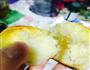 椰蓉面包的做法图解16