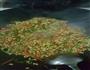 黄豆芽炒肉末的做法图解4