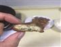 香味豆腐圆子的做法图解6
