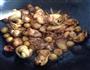 板栗香菇烧鸡的做法图解5