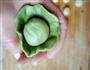 抹茶椰蓉开口酥的做法图解8