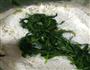 菠菜面的做法图解4
