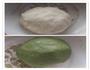 红豆馅抹茶酥的做法图解3
