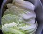 自制辣白菜的做法图解1