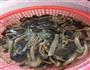 茶树菇烧老豆腐的做法图解1