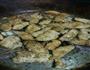 家庭版烤肉-香煎鸡胸肉的做法图解5