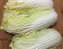 肉末白菜卷的做法图解3