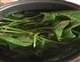 海米菠菜汤的做法图解1