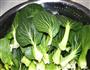 香菇青菜的做法图解1