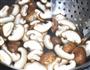 香菇青菜的做法图解4