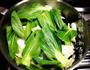 冬季排毒菜的做法图解3