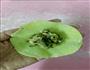 翡翠水晶玉饺的做法图解6