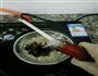 粉丝蒜蓉蒸鱿鱼的做法图解6