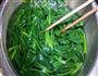麻酱菠菜的做法图解1
