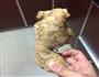 酸梅鸭的做法图解1
