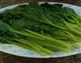 白灼油菜芯的做法图解3