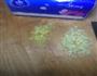 金蒜花开富贵虾的做法图解4