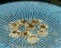 简易版烧卖的做法图解5