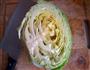 凉拌圆白菜的做法图解1