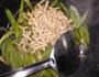 芹菜炒肉丝的做法图解6