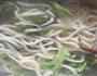 臊子面的做法图解3