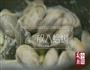 酒蒸蛤蜊的做法图解4