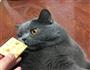 牛轧饼干的做法图解7