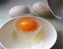 牛奶炒鸡蛋的做法图解1