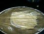 香酥椰子脆片的做法图解7