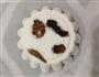 新年松糕的做法图解12