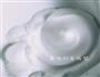 菠菜蛋饼三明治的做法图解4