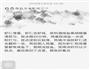 虾仁蛋滑的做法图解7