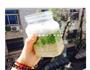 牛油果燕麦三色杯的做法图解5