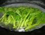 白灼菜心的做法图解2