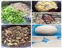 粉丝鸡蛋馅饼的做法图解1