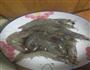 油焖大虾的做法图解1