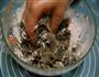 黑芝麻汤圆的做法图解5