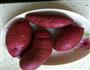 烤紫薯的做法图解1