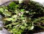 自制荠菜香干春卷的做法图解1