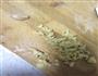 凉菜清肺菠菜木耳拌粉丝的做法图解5