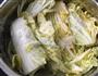 韩式泡菜的做法图解2