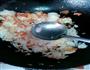 黄金蛋炒饭的做法图解6