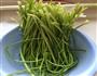 芹菜猪肉水饺的做法图解1